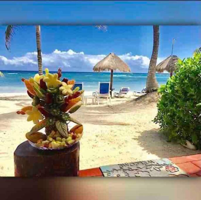 Beachfront Akumal Half Moon Bay Esterno foto